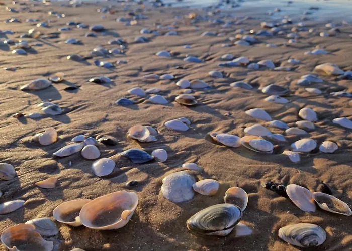 Apartamento Trzy Pomosty Mistral *